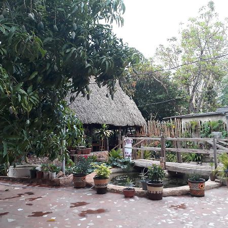 El Chac Mool Bed and Breakfast Santa Elena Εξωτερικό φωτογραφία
