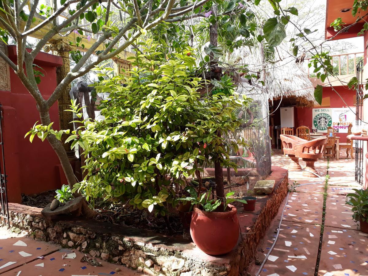 El Chac Mool Bed and Breakfast Santa Elena Εξωτερικό φωτογραφία