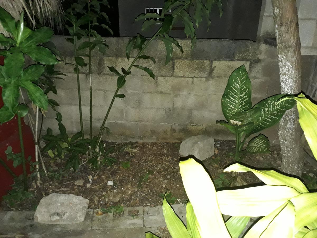 El Chac Mool Bed and Breakfast Santa Elena Εξωτερικό φωτογραφία