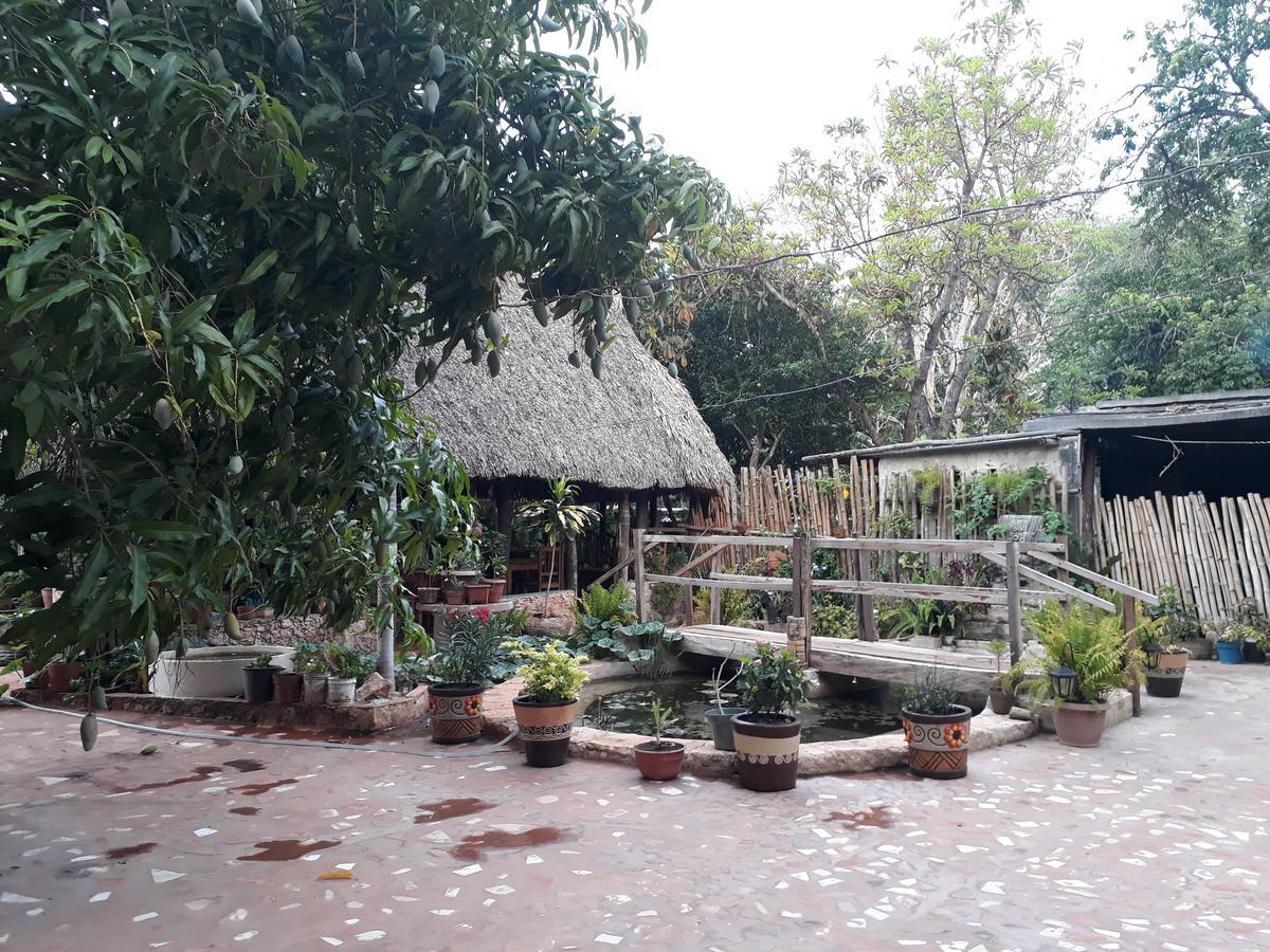 El Chac Mool Bed and Breakfast Santa Elena Εξωτερικό φωτογραφία
