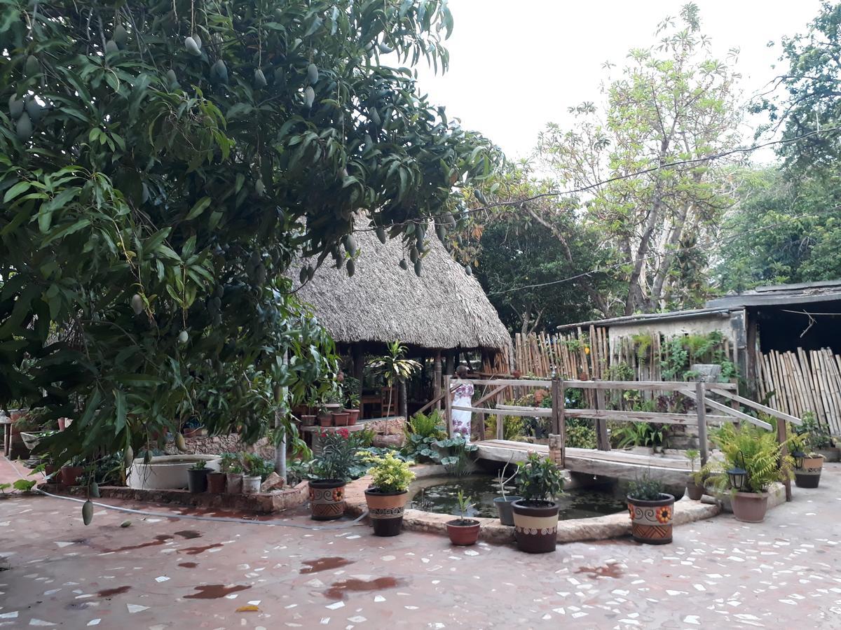 El Chac Mool Bed and Breakfast Santa Elena Εξωτερικό φωτογραφία