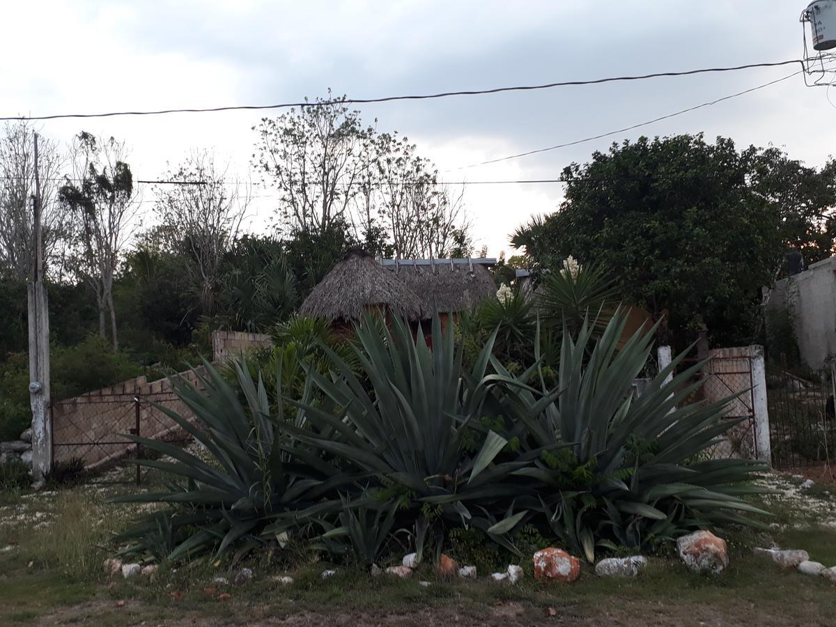 El Chac Mool Bed and Breakfast Santa Elena Εξωτερικό φωτογραφία